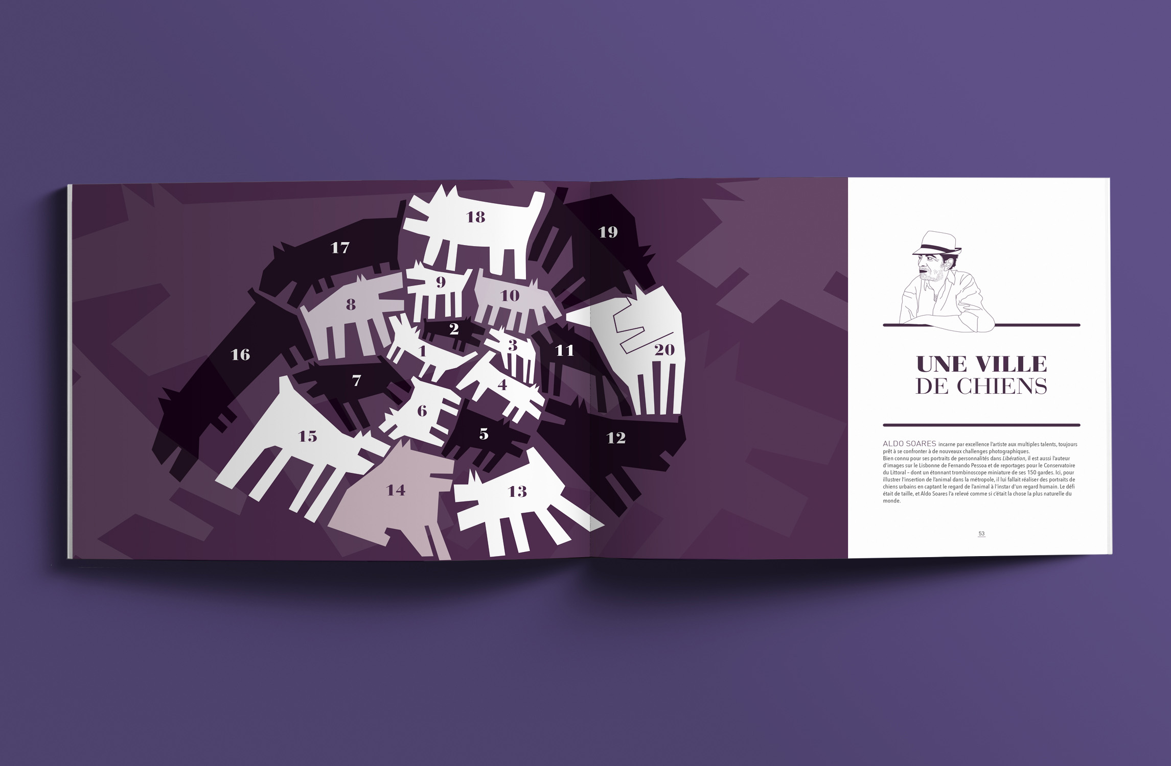 douze millions de romans possibles